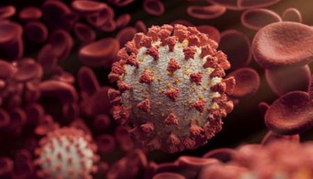 Вчені НАНУ прогнозують у найближчі тижні понад 10 тисяч випадків коронавірусу щодня