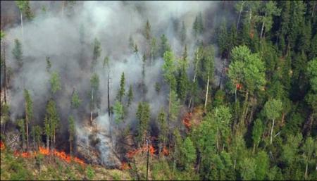 Россия в огне: на востоке страны горит около тысячи гектаров лесов