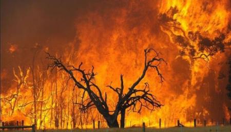 Пожары в Турции, Италии и Греции влияют на погоду в Украине - синоптики
