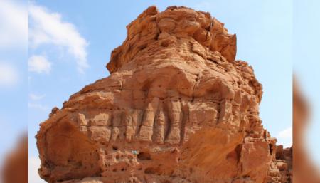 У Саудівській Аравії знайшли скульптури верблюдів, старші за Стоунхендж і піраміди