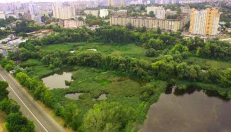 Захистити від забудовників: Совським ставкам хочуть присвоїти статус парку