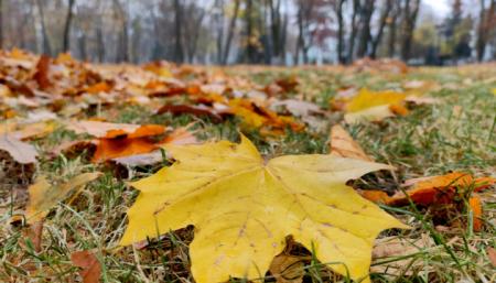 В Україні 13 листопада утримається суха погода, вдень до 13° тепла