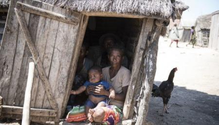 Голод на Мадагаскарі: люди їдять кактуси та сарану