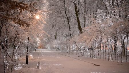 В Україну йдуть снігопади та мороз