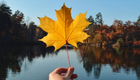 Прогноз погоди на вихідні 15–16 жовтня: золота осінь дарує чудовий вікенд