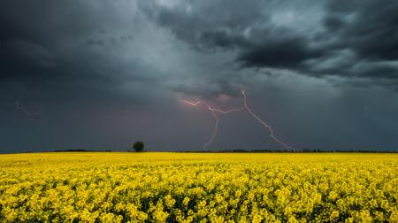 Дожди и грозы на всей территории Украины: прогноз погоды на сегодня
