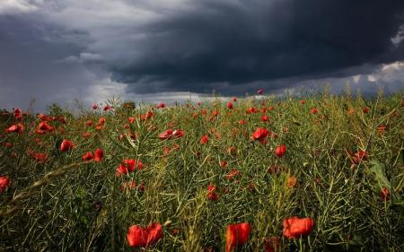 Середа буде дощовою: прогноз погоди в Україні на 3 серпня