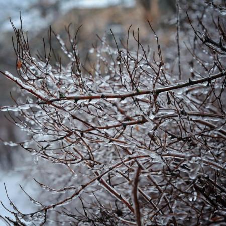 С сильными морозами и ледяными дождями: синоптик рассказал, какой будет погода этой зимой в Украине