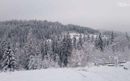 В Украине ожидается снег, а на дорогах — гололедица: прогноз погоды на воскресенье, 23 января