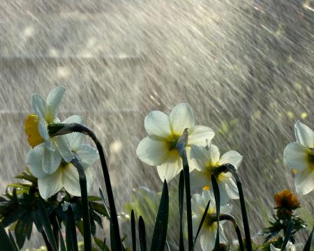 Капризный март: дожди с мокрым снегом и до 17° тепла