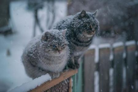 Похолодание и мощные ливни со снегом: в Украину движется непогода