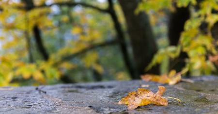 Стане ще холодніше: прогноз погоди на 11 жовтня