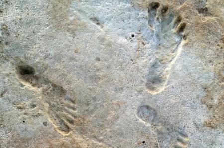 Обнаружены самые ранние следы человека в Северной Америке - им 23 тысячи лет