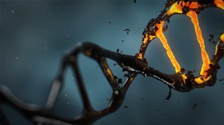 ДНК человека уникальна всего на 1,5%