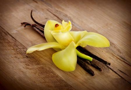 Интересные и удивительные факты о ванили