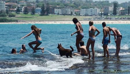 Впервые за 80 лет: в Сиднее стоит рекордная жара