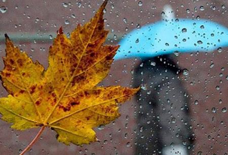 Дощі повернуться: синоптик дав прогноз і розповів, коли чекати погіршення погоди в Україні