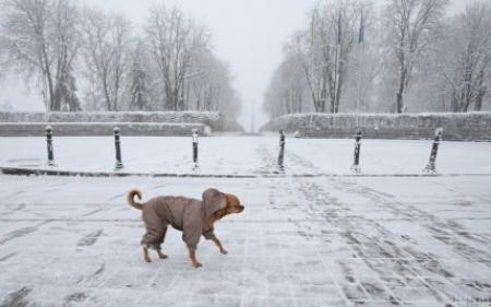 Перші вихідні грудня принесуть в Україну сильні морози