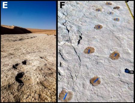В Саудовской Аравии нашли отпечатки, которым более 120 тысяч лет