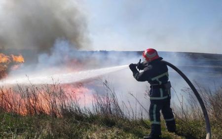 Спалювання сухої трави: українцям нагадали про штрафи