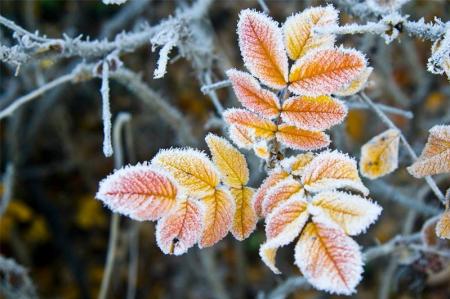 В Україні стане холодніше: синоптикиня дала детальний прогноз погоди на неділю