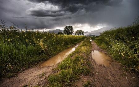 Синоптики попереджають про погіршення погоди: які регіони 12 серпня накриють грози