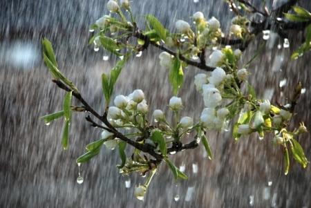 До України йде похолодання зі зливами та грозами: синоптик попередив про погіршення погоди
