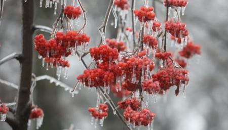 В Україні 29 листопада незначне похолодання, подекуди опади