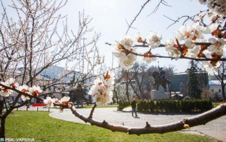 Тепліше за норму: Укргідрометцентр дав прогноз на квітень