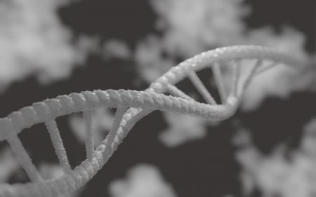 Учені вперше створили колективний геном людства