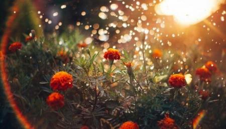 Прогноз погоди на вихідні 2–3 вересня: осінь прийшла з теплом