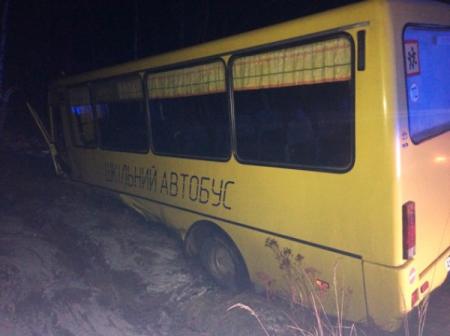 В Житомирской области школьный автобус попал в ДТП