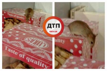 В Киевском супермаркете по печенью бегала мышь - СМИ
