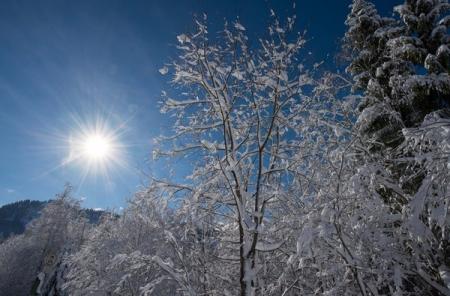 Сегодня 21 декабря – день зимнего солнцестояния