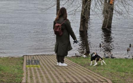 Велика вода у Києві: підтоплено міський парк 