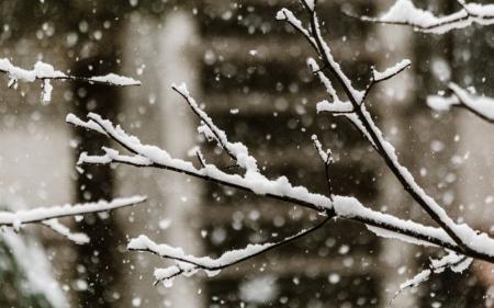 До України йде холодне повітря з півночі Європи та сніг: коли та які регіони приморозить