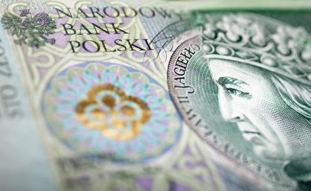 Большинство поляков не хотят переходить на евровалюту