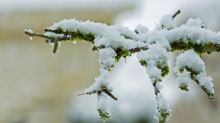 Коли припиняться снігопади: синоптики дали свіжий прогноз