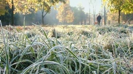 В ближайшие дни в Украине ожидаются заморозки на поверхности почвы