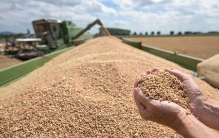 Світові ціни на продовольство падають п’ятий місяць поспіль після історичного максимуму