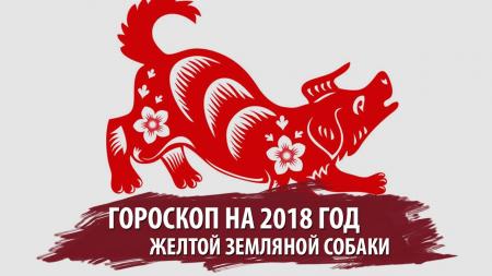Новый год 2018 Желтой собаки: восточный гороскоп для каждого знака