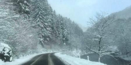 На Львовщине из-за снегопада ограничили движение грузовиков