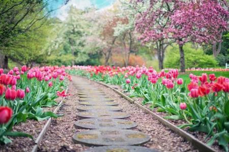 Казковий березень, похмурий квітень і мінливий травень: чого чекати від погоди цієї весни