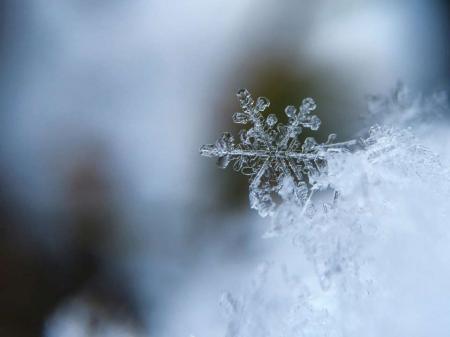 Прогноз погоди на 1 лютого: Україну засипле снігом, зима повертається