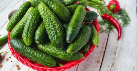 0130ac32dcf14c35aff95741823ee6af_10.08.25