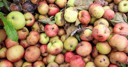 01e66800f34995659f67e3d7b44a9a09_15.08.25