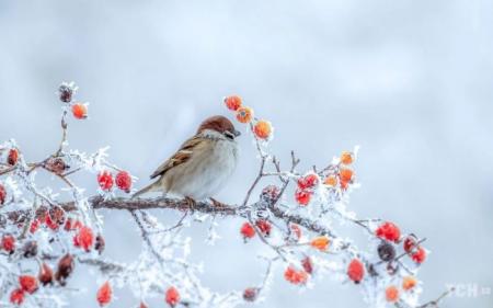 024f4d28cc1fd77dda6c87f270200c62_20.01.25_1