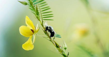 036aa43fdcdbc69872df0302a6d2c84c_28.07.25