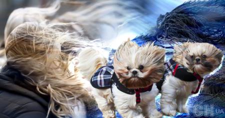 Штормове попередження: синоптики повідомили про небезпечні погодні явища