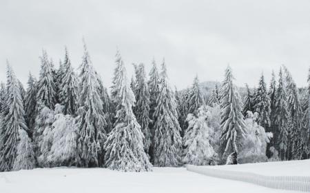 Прогноз погоди в Україні на 15 січня: хмарно, ожеледиця, подекуди до мінус 10° морозу